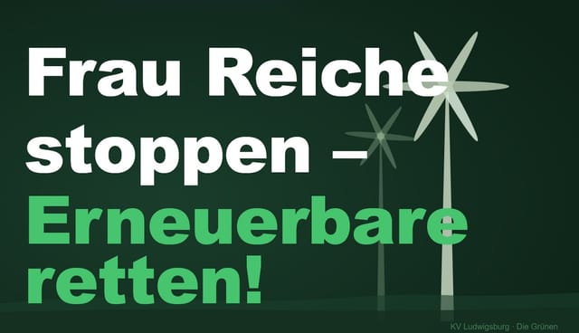 Auf die Straße und die Erneuerbaren retten!